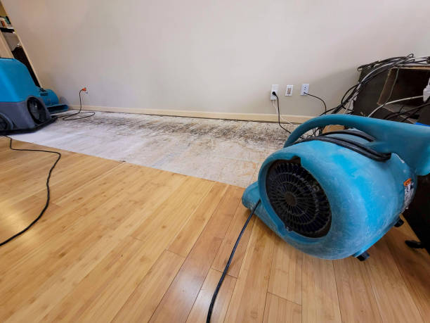 Professional Water Removal technician working in South Pasadena, CA